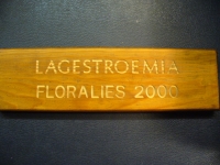 Gravure sur bois